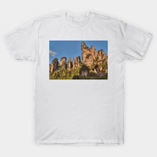 Zhangjiajie Pinnacles on a sunny day T-Shirt